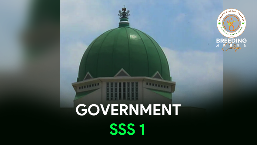 Government - Senior Year 1