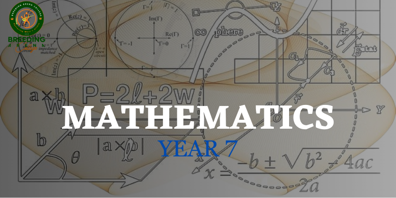 Mathematics Year 7