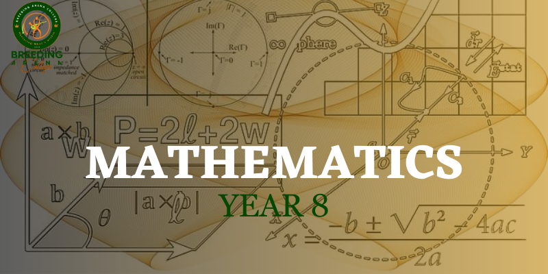 Mathematics - Year 8