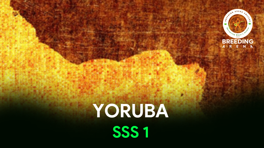 Yoruba - Senior Year 1